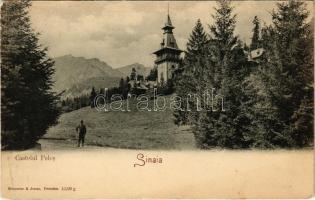 Sinaia, Castelul Peles / castle (EK)