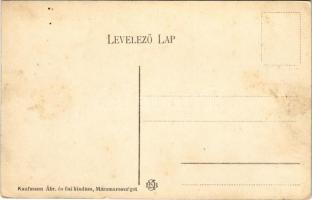 1909 Aknasugatag, Ocna Sugatag; Bányatelep látképe. Kaufmann Ábr. és fiai kiadása / mine colony (EK)