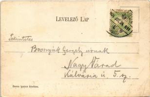 1904 Gyulafehérvár, Alba Iulia; Tiszti pavilon. Borza Ignác kiadása / K.u.K. military officers'...