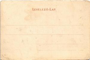 Kolozsvár, Cluj; látkép. Stief Jenő és Társa kiadása / general view (kopott sarkak / worn corners)