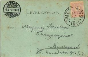 1899 (Vorläufer) Kolozsvár, Cluj; látkép. Gibbon Albert kiadása / general view + "BRASSÓ - BUDA...