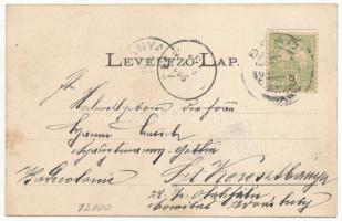 1903 Brád, Központi Igazgatósági pavilon (rudai Tizenkét Apostol bányatársulat). Kiadja Ábrahám Istv...