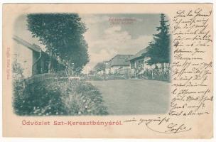 1900 Szentkeresztbánya, Vlahita Noua, Minele Lueta (Szentegyháza, Vlahita); fürdő bejárata. Siska Ignác kiadása / spa entry (ázott / wet damage)