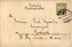 1905 Austro-Hungarian K.u.K. military art postcard (EK)