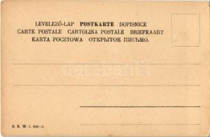 Austro-Hungarian K.u.K. military art postcard. B.K.W.I. 829-5. (EK)