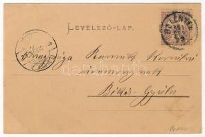 1901 Biharfüred, Stana de Vale, Stina de Vale; nyaralók. Sonnenfeld Adolf kiadása / villas