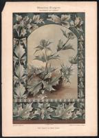 cca 1900-1910 Dekorative Vorbilder, össz. 6 db, szecessziós (Jugendstil) és japonizáló ornamentikáva...