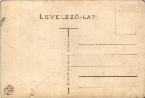 Nyíregyháza, Sóstógyógyfürdő, Szálloda. Fábián Pál papíráruháza kiadása (r)