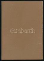 Csoóri Sándor: Elmaradt lázálom. Bp.,1982.,Magvető. Első kiadás. Kiadói egészvászon-kötés, kiadói pa...