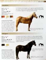 Lovak képes enciklopédiája. Bp., 2011. Alexandra. Kiadói kartonált papírkötésben