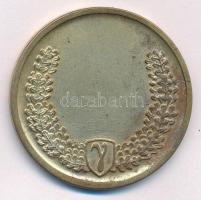 Berán Lajos (1882-1943) ~1940. "Gamma Lövész Egyesület" aranyozott bronz díjérem (41mm) T:...