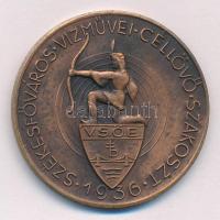 1936. Székesfőváros Vízművei Céllövő Szakosztály - 1936 ritkán előforduló bronz emlékérem (41mm) T:AU patina