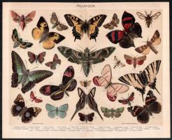 cca 1900 össz. 30 db színes illusztráció a Pallas Nagy Lexikonából és Meyers Konversation-Lexikonból...