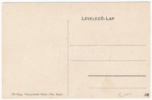 Nagyvárad, Oradea; Nogáll Szent Vince Intézet, kert / garden of the girl school