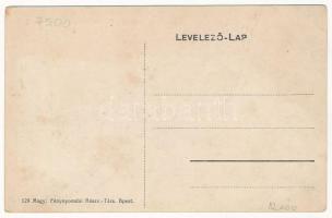 Nagyvárad, Oradea; Nogáll Szent Vince Intézet, kert / garden of the girl school (fa)