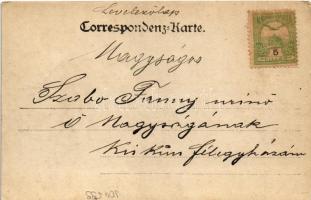 1903 Ramsau am Dachstein (Steiermark), hikers, tourists. photo (EK)