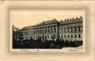 1915 Beregszász, Beregovo, Berehove; megyeháza. W.L. Bp. 6052. Friedmann Moritz kiadása / county hall (EB)