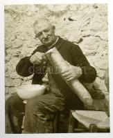 Csorba, Csilla: Magyar fotográfusnők. Bp., 2001., Enciklopédia. Benne Zinner Erzsébet, Rosie Ney, Ká...