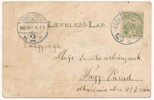 1902 Tenke, Tinca; gyógyfürdő. Lévy Dávid kiadása / spa + "VASKÓH-NAGY-VÁRAD 120 SZ." vasú...