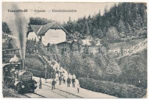 1918 Tusnádfürdő, Baile Tusnad; Vasútállomás és gőzmozdony, vonat. Adler és fia 3392. 1917. / Eisenbahnstation / railway station with locomotive, train (EK)