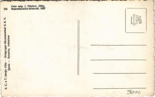 Nagyszeben, Hermannstadt, Sibiu; Őzrét / Santa. S.C. a T. Sectia Sibiu / Schanta, Rehwiese, Ostgrupp...