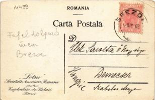 1908 Brezoi, Brezoiu (Valcea); Vederea generala a Fabricei, "Lotru" Societate Anonima Roma...