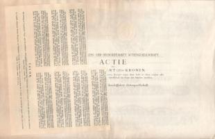 Budapest 1895. "Magyar Folyam- és Tengerhajózási Részvénytársaság" részvénye 200K-ról, víz...