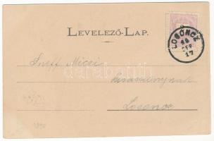 1899 (Vorläufer) Nagyenyed, Aiud; látkép, sétatéri síremlék este. Wokál János kiadása / general view...