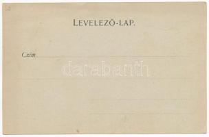 Tusnádfürdő, Baile Tusnad; Villa Emma, bőröndszállító kiskocsi. Adler Alfréd kiadása / villa, luggag...