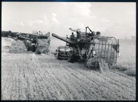 1970 Mezőfalva, aratás munkagépekkel, sajtófotó, a hátoldalon feliratozott, pecséttel jelzett, 18x13 cm