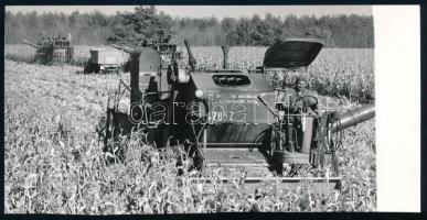 1970 Kukoricatörés kombájnnal, sajtófotó, a hátoldalon feliratozott, pecséttel jelzett, 18x9 cm