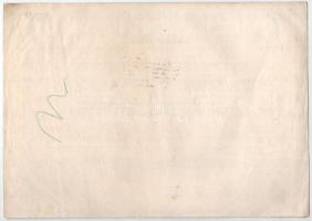 Budapest 1923. "Magyar Keleti Tengerhajózási Részvénytársaság" 25 részvénye egyben, összes...