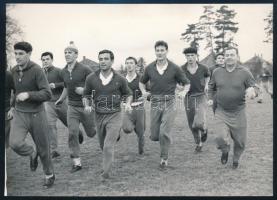 1966 Az MTK játékosai edzés közben, sajtófotó, a hátoldalon feliratozott, pecséttel jelzett, 18x13 cm