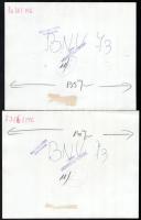 1973 BNV '73, 5 db sajtófotó (Vajdahunyad vára, Ganz pavilon a Városligeti-tavon, mezőgazdasági...