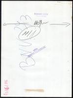 1973 BNV '73, 5 db sajtófotó (Vajdahunyad vára, Ganz pavilon a Városligeti-tavon, mezőgazdasági...