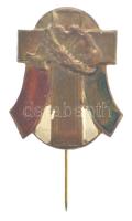 ~1935. Irredenta keresztet, nemzetiszín szalagot és nagy Magyarország körvonalait ábrázoló festett bronz lemezjelvény (26x22mm) T:1-,2 kopott festés
