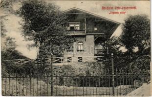 1913 Tata-Tóváros, Tatatóváros; Tóparti villa (EK)