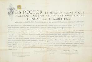 1924 Pécsi Egyetem által kiállított orvosi diploma, Entz Béla, Kérészy Zoltán, Reuter Kamilló aláírásával