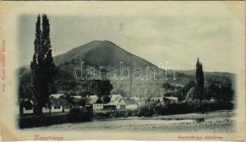 1900 Nagybánya, Baia Mare; Kereszthegyi külváros. Molnár Mihály kiadása / Dealul Crucii (vágott / cut)