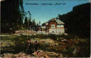 1917 Körmöcbánya, Kremnitz, Kremnica; Zólyomvölgy, Árpád lak, gyerekek. Demmiany L. kiadása / valley, villa, children (EK)