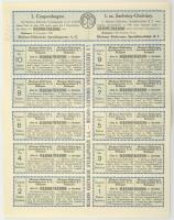 Budapest 1920. "Mechano-Elektromos Speciál-Készülékek Részvény Társaság Budapest" 5 részvé...