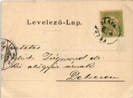 1904 Felsőbánya, Baia Sprie; Bódi tó. Dácsek Péter kiadása / lake (vágott / cut)