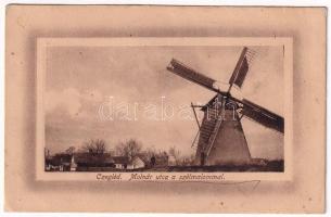 1920 Cegléd, Molnár utca, szélmalom. Sárik Gyula kiadása / windmill (Rb)