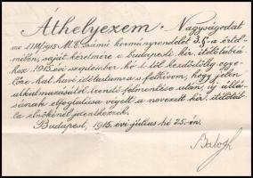 1915 Balogh Jenő igazságügy-miniszter által aláírt okirat + belül: Juhász Andor leendő elnök saját k...