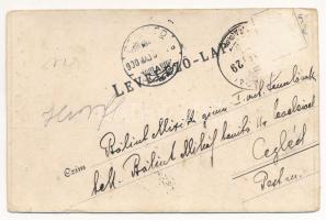 1900 Szatmárnémeti, Satu Mare; Szecessziós fémes hatású fóliás képeslap, Lövy Miksa kiadása / Art No...