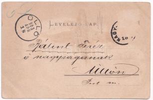 1903 Kisdisznód, Michelsberg, Cisnadioara; Burg / Vár. Szecessziós címeres litho keret, G.A. Seraphi...