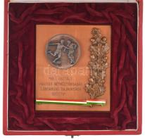 1978. "NB I. osztály - Magyar Népköztársaság Labdarúgó Bajnoksága - 1977/78" bronzozott fé...