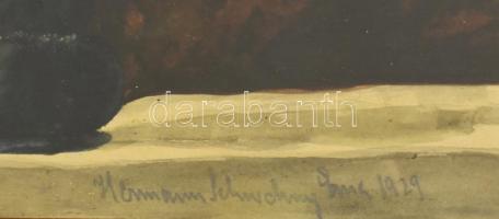 Hermann Sch...ch..y Soma 1929 jelzéssel: Virágcsendélet. Tempera, papír, üvegezett keretben, 18x25 c...