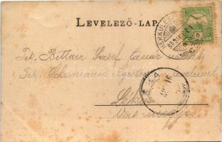 1902 Herkulesfürdő, Baile Herculane; Szapáry fürdő / spa, bath (fl)