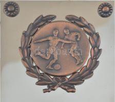 1989. "NB I. osztály - Magyar Népköztársaság Labdarúgó Bajnoksága - 1988/89" fém díjplaket...